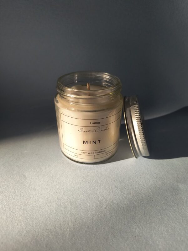 Mint 120g Jar Scented Candle