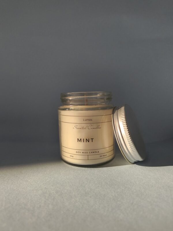 Mint 120g Jar Scented Candle